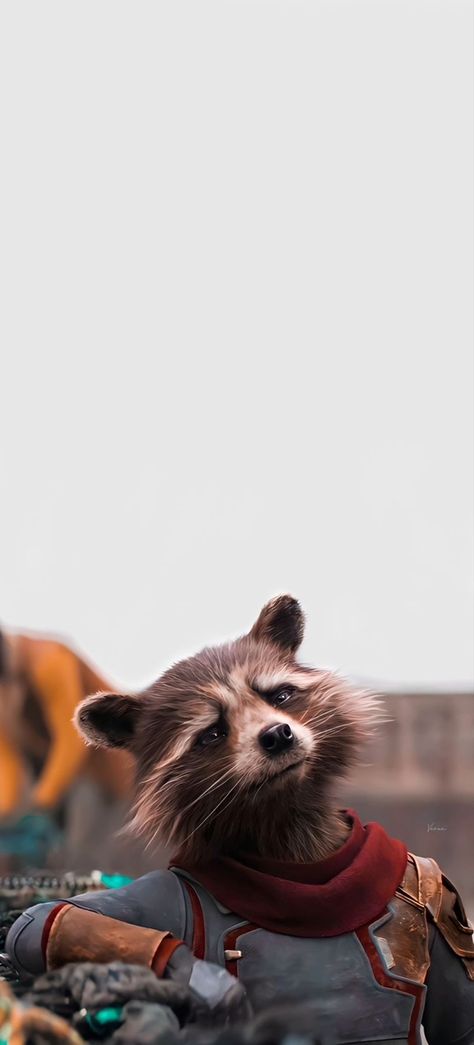 Guardians Of The Galaxy Wallpaper, Rocket Raccoon, Image Background, Wallpapers Images, Wallpapers Backgrounds, Free Hd Wallpapers, Home Screen, Guardians Of The Galaxy, The Galaxy