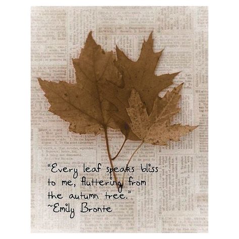 0 Leaf Journal, Autumn Whispers, Leaf Quotes, Autumn Fruits, Autumn Cottage, Tree Quotes, Dry Tree, Emily Brontë, Autumn Tree