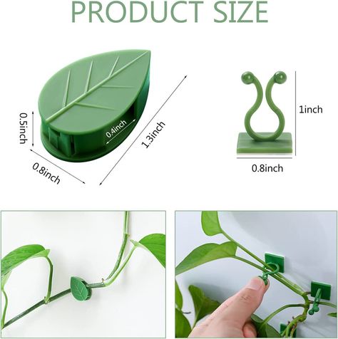 Amazon.com : LUCKJUJU 100 Pcs Plant Climbing Wall Fixture Clips Self-Adhesive Hook Vines Traction Clips Invisible Holder Garden Green Leaf Simulation Self-Adhesive Hook Wire Fixing Supporting : Patio, Lawn & Garden Plant Climbing Wall, Vines Garden, Wall Clips, Plant Clips, Adhesive Hooks, Leaf Plant, Climbing Wall, Wall Fixtures, Plant Wall