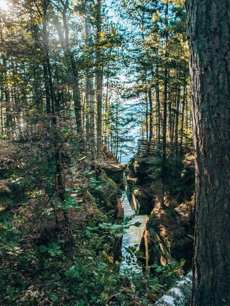 How to spend a 3 day trip at the Apostle Islands in Northern Wisconsin. Find out where to stay, eat and what to do at the Apostle Islands! Apostle Islands Wisconsin, Apostle Islands, 3 Days Trip, Northern Wisconsin, Boreal Forest, Kayak Tours, Nature Preserve, Lake Superior, Summer Dream