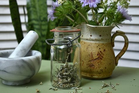 Learn about tools and resources for setting up your home apothecary. An herbalist's start up guide for beginner home herbalists! Herbalist Tools, Apothecary Ideas, Vintage Bottles Antiques, Home Apothecary, Herbal Steam, Herbal Recipes, Herbal Apothecary, Amber Bottles, Amber Glass Bottles