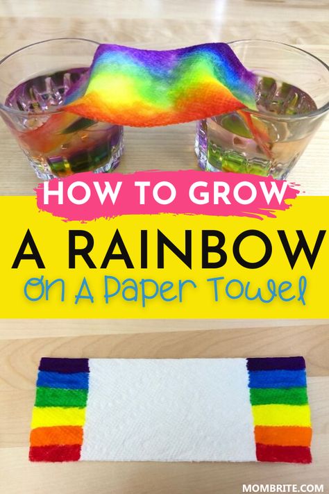 Paper Towel Experiment, Grow A Rainbow, Science For Toddlers, Summer Calendar, Rainbow Activities, Science Week, April Crafts, Preschool Science Activities, Science Experiments For Preschoolers