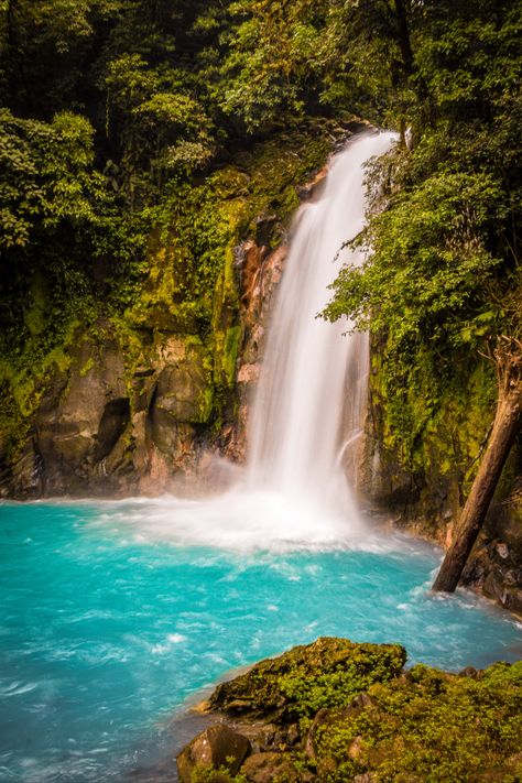 Image of Guanacaste, Costa Rica with lush greenery and crystal clear water. Costa Rica Guanacaste, Costa Rica Rainforest, Tropical Adventure, Traveling Aesthetic, Guanacaste Costa Rica, Soak Up The Sun, Costa Rica Travel, Rainy Season, Travel Stuff