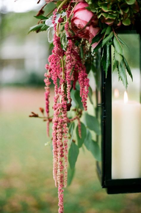 Photography: Jenna Henderson - www.jennahenderson.com Read More: http://www.stylemepretty.com/southeast-weddings/2013/12/24/christmas-cedarwood-wedding/ Hanging Amaranthus, Marsala Wedding, New Years Eve Weddings, Long Island Wedding, No Rain, Fairy Tale Wedding, The Vault, Beautiful Blooms, Wedding Themes