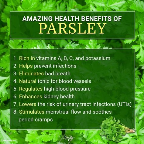 Spices Benefits, Benefits Of Parsley, Parsley Health, Parsley Benefits, Balanced Hormones, Gut Feelings, Benefits Of Organic Food, Urinary Health, Green Veggies