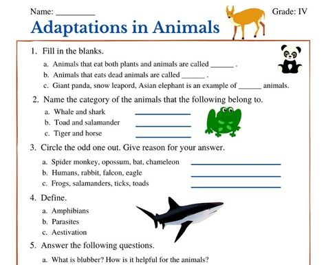 Adaptation In Animals Worksheet, Animal Adaptations Worksheet, Adaptation In Animals, Adaptations Science, Animals Worksheet, Plant Adaptations, Color Songs, Animal Adaptations, Mathematics Worksheets