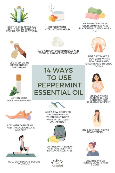 Peppermint, essential oil, how to use oils, oil recipes, DIY, science of essentials #HealthTips #HealthyLiving #FitnessTips #SelfCare #HealthyLifestyle #FitLife #Wellness #NutritionTips How To Use Peppermint Essential Oil, Covi̇d Remedies Essential Oils, How To Make Peppermint Oil, How To Use Essential Oils, Peppermint Oil For Skin, Peppermint Oil For Headaches, Benefits Of Peppermint Essential Oil, Peppermint Essential Oil Benefits, Peppermint Essential Oil Young Living