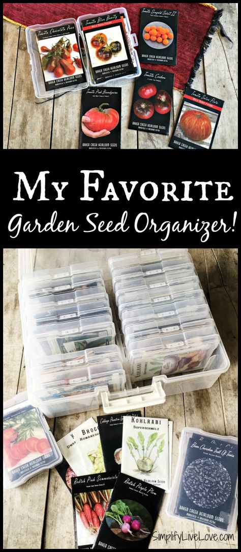 The best garden seed organizer ever has totally revolutionized my seed saving system. Check out this handy box and organize your garden seeds! Organize Seeds, Seed Organizer, How To Store Seeds, Best Garden Tools, Seed Storage, Starting Seeds Indoors, Organic Vegetable Garden, Seed Saving, Home Vegetable Garden