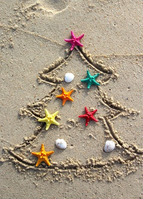 Beach Christmas Pictures, Christmas Beach Photos, Beach Christmas Tree, Caribbean Christmas, Beach Christmas Trees, Christmas Humor Ecards, Christmas Tree Decorated, Funny Beach, Florida Christmas