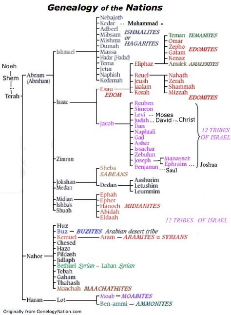 Bible History Timeline Free Printable, Bible Genealogy, Bible Charts, Revelation Bible Study, Bible Timeline, Revelation Bible, Bible Mapping, Bible Study Topics, Bible Study Help