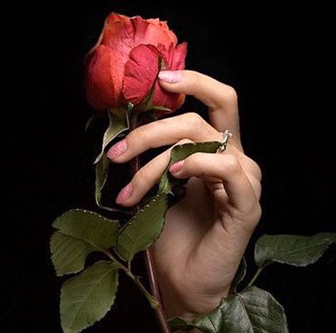 Beautiful Hand Holding Rose, Rose Meaning, Rose Pic, Hands Holding Flowers, Art Girl Aesthetic, Rose Drawing Tattoo, Eyes Artwork, Rosé Aesthetic, Hand Flowers