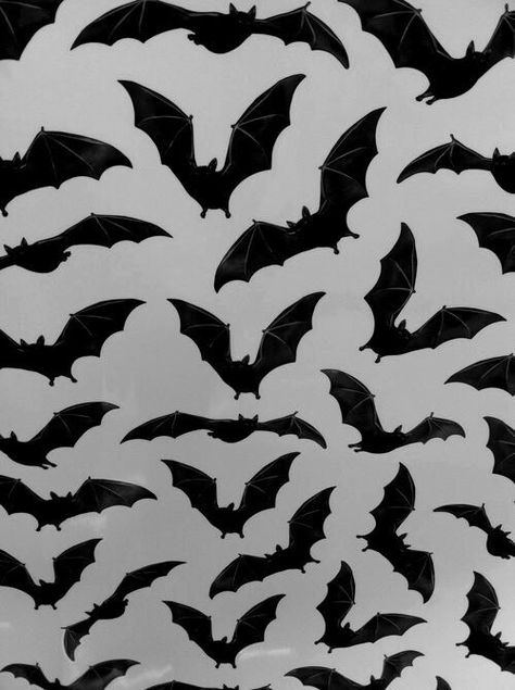 Image de bats, wallpaper, and background Helloween Wallpaper, Gijinka Pokemon, Bats Flying, Tumblr Hipster, Bat Pattern, Whatsapp Wallpaper, Halloween Backgrounds, Halloween Wallpaper, Of Wallpaper