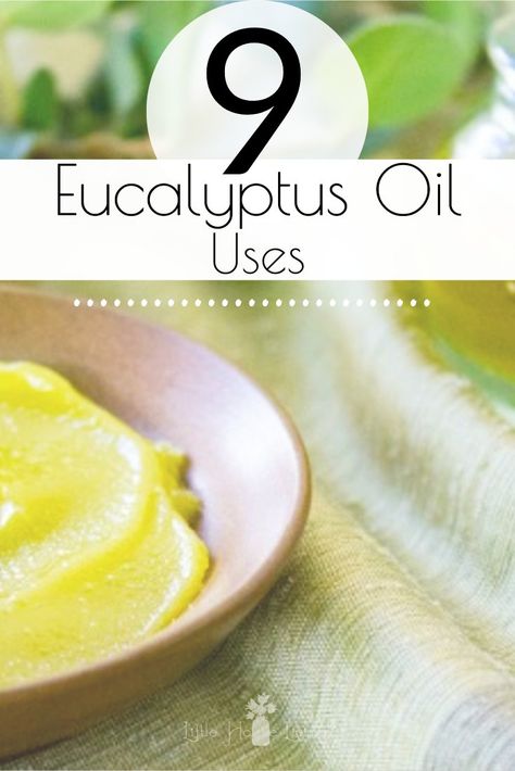 What is eucalyptus oil good for? Check out these Eucalyptus oil uses, including practical ideas, tips and recipes to get the most out of this helpful essential oil. #essentialoils #essential oiluses #eucalyptus #eucalyptusoiluses #eucalyptusessentialoil Eucalyptus Oil For Cough, Eucalyptus Essential Oil Uses, Eucalyptus Oil Benefits, Eucalyptus Oil Uses, Lavender Oil For Skin, Oil For Cough, Healing Salve, Essential Oils For Pain, Healing Remedies