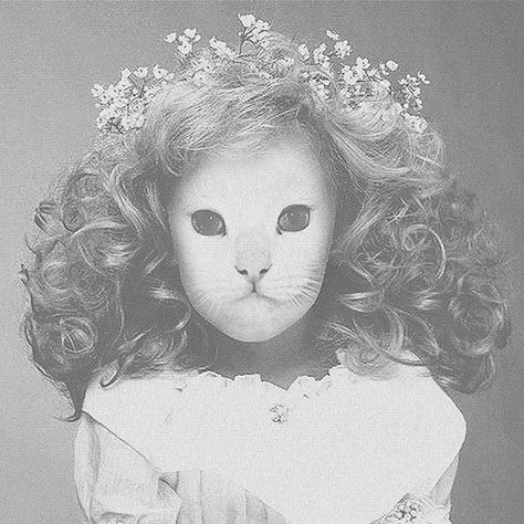 Mother Mary Mr Kitty Album Cover, Mr Kitty, Destroy Me, Mother Mary, Spotify Song, Kitty, Songs, Black