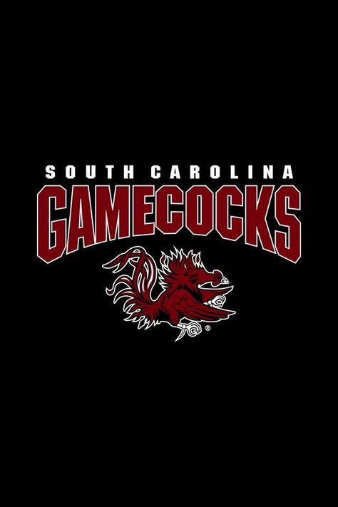 Usc Columbia, Usc College, South Carolina Gamecocks Football, South Carolina Football, Gamecock Nation, Gamecocks Logo, Gamecocks Football, Go Gamecocks, Usc Gamecocks