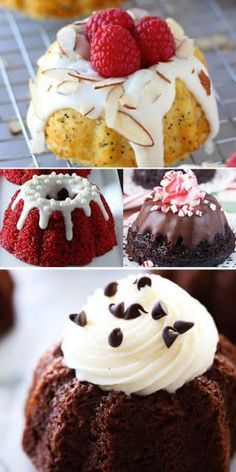 mini bundt cake recipes 1 Mini Cake Recipes, Mini Bundt Cake Recipes, Mini Bunt Cake, Mini Bundt Cakes Recipes, Bundt Pan Recipes, Bundt Cake Recipes, Bundt Recipes, Mini Bundt, Lemon Bundt Cake