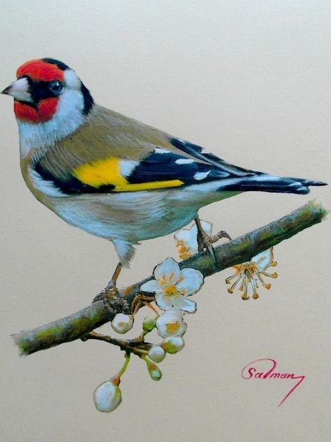 Goldfinch Art, European Goldfinch, Bird Painting Acrylic, Bird Paintings On Canvas, Bird Watercolor Paintings, Wood Painting Art, Finches, Bird Artwork, Nature Birds