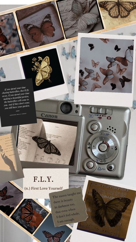 Polaroid frames 🤍 Polaroid Frames, Butterfly Photo, Polaroid Frame, Butterfly Photos, Photo Album, Frame