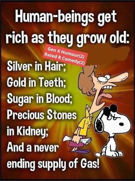 Ginger Jokes, Ginger Humor, Aging Well, Word Wall, Sign Quotes, Growing Old, Funny Signs, How To Get Rich, Memes Quotes