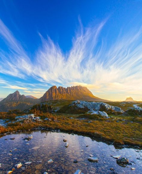 Cradle Mountain, Tasmania - The stunning natural landscape of Cradle Mountain in Tasmania, Australia. #CradleMountain #Tasmania Cradle Mountain Tasmania, Cradle Mountain, Urban Fantasy Books, Tasmania Australia, Natural Landscape, Royal Caribbean, Hidden Gem, Camping Car, Australia Travel