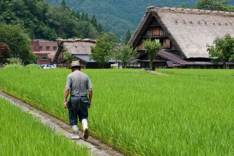 Farmer in Shirakawago. Gifu, Japan - July 24, 2012 : a unidentified farmer is walking in rice farm in Shirakawago. Historical Japanese Village, Japan stock image Village Japan, Rice Farm, Gokayama, Shirakawa Go, Farm Village, Japanese Village, Gifu Japan, Movie Set, Gifu