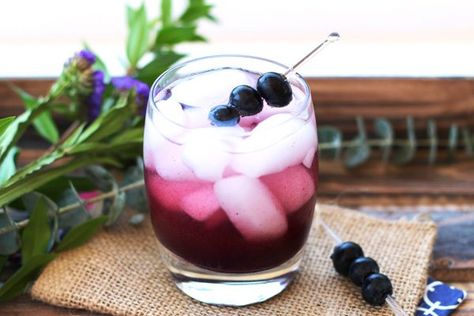 Apple Cider Vinegar Blueberry And Ginger Shrub - Fermented Food Lab Blueberry Shrub, Shrub Recipe, Apple Cider Vinegar Remedies, Drinking Vinegar, Ginger Honey, Raw Apple Cider Vinegar, Apple Cider Vinegar Drink, Grape Soda, Cold Sores Remedies