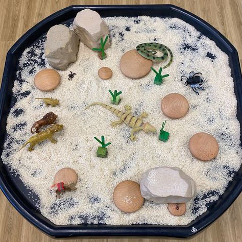 Desert Tuff Tray Ideas, Desert Tuff Tray, Desert Sensory Bin, Tuff Tray Eyfs, Meerkat Mail, Africa Activities, Desert Room, Sand Ideas, Dessert Animals