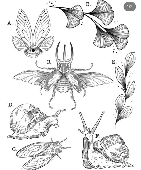 Cicada Tattoo, Cycles Of Life, Natural Cycles, Insect Tattoo, Bug Tattoo, Creepy Tattoos, Bug Art, Tattoo Art Drawings, Desenho Tattoo