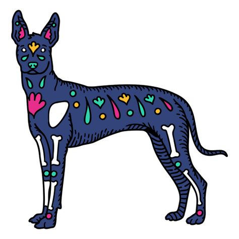 Xolo Dog, Mexican Otomi, Mexican Pattern, Dog Png, Ornamental Tattoo, Free Banner, Dog Mum, Dog Logo, Vector Flowers