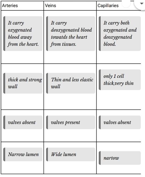 Veins Arteries And Capillaries, Flight Attendant Quotes, Cardiovascular Nursing, Human Anatomy Picture, Ap Exam, College Help, Biology Diagrams, Medical Life, Varicose Vein Remedy