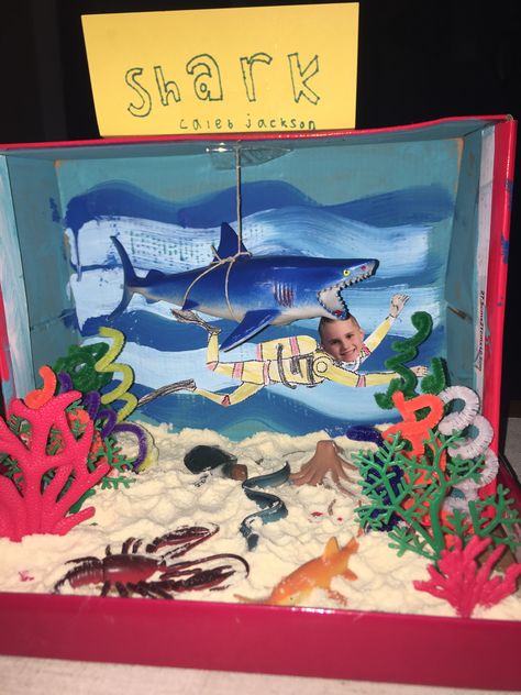 Shark diorama: elementary school project Marine Diorama Project, Great White Shark Diorama, Shark Diarama Ideas Kids, Shark Habitat Diorama, Shark Habitat Project For Kids, Shark Diorama School Projects, Shark Habitat Project, Dolphin Diorama, Ecosystem Diorama