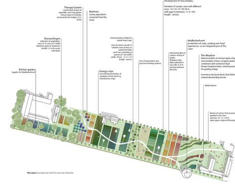 S Urban Farming Architecture, Permaculture Farming, Architecture Site Plan, Urban Design Diagram, Urban Analysis, Master Thesis, Urban Design Plan, Food Park, Farm Plans