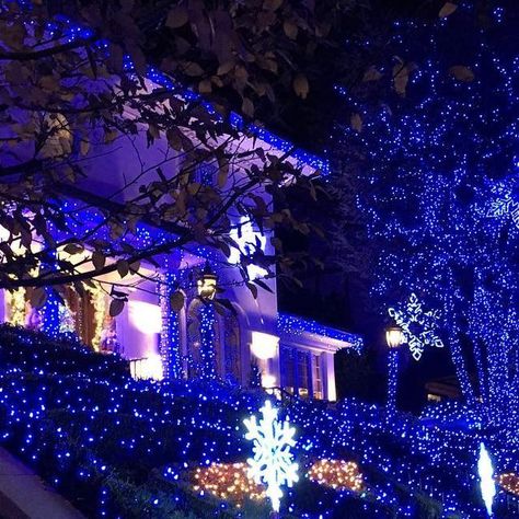 Karen Elizabeth Ashe Climo on Instagram: "#bluechristmas #bluechristmaslights #bluechristmaswithoutyou #nofilterjustblue" Dark Blue Christmas Aesthetic, Blue Christmas Aesthetic, Dark Blue Christmas, Xmas Aesthetic, Blue Christmas Background, Blue Christmas Lights, Christmas Widgets, Theme Pics, Blue Christmas Tree