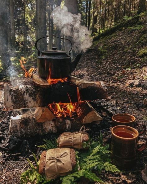 Camping Inspiration, Camping Vibes, Camping Aesthetic, Camping Photography, Fall Camping, Bushcraft Camping, Adventure Aesthetic, Open Fire, Camping Life