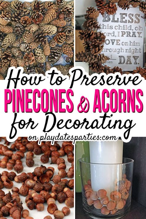 Preserve Pinecones, Diy Christmas Decorations For Bedroom, Christmas Decorations For Bedroom, Dried Acorns, Pinecone Decor, Acorn Ornaments, Pine Cone Art, Acorn Crafts, Diy Pinecone