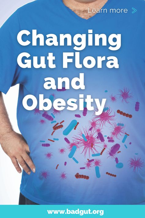 What does the microbiome have to do with obesity? Learn more about gut flora, probiotics, and obesity. #microbiome #badgut #obesity #probiotics Gut Flora, Beneficial Bacteria, The Balance, Health Problems, Probiotics, Health