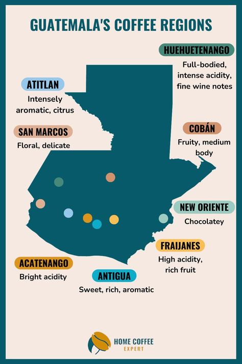 Map of Guatemala showing the coffee growing regions and flavor profiles Guatemala Coffee, Coffee Chart, Guatemala Travel, Flavor Profiles, Coffee Flavor, Coffee Love, Fine Wine, Best Coffee, Coffee Beans