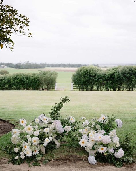 Ceremony Nest Flowers, Film And Foliage, Ground Arrangements Ceremony, Ceremony Nest, Flowers Installation, Ceremony Arbor, Photoshoot Background, Airy Wedding, Floral Arch Wedding