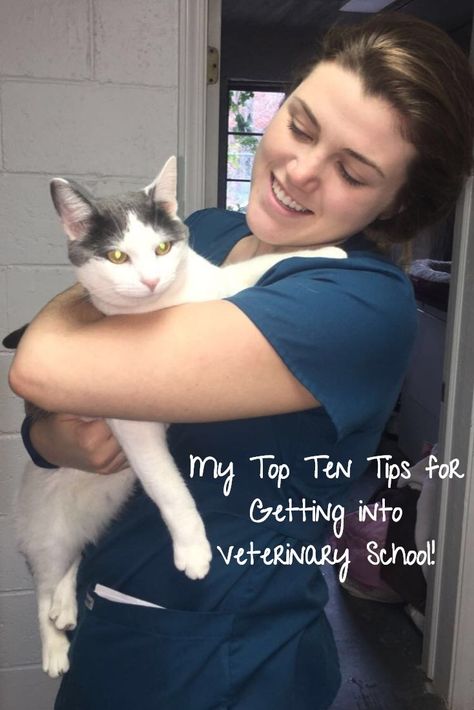 My Top Ten Tips for Getting into Veterinary School! The Traveling Dogtor | Vet Student Blog Veterinarian Career, Veterinarian School, Vet School Motivation, Vet Tech School, Vet Tech Student, Becoming A Veterinarian, Veterinary Studies, Veterinary School, Happy Tuesday Everyone