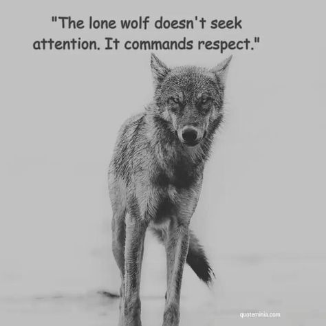 Cringe Wolf, Alpha Female Wolf, Wolf Pack Quotes, Alpha Quote, Inspirational Animal Quotes, Lone Wolf Quotes, Wolf People, Spirit Wolf, Luxury Quotes