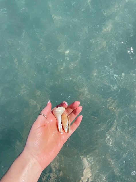 Coconut girl , shell searching , shelling , shell hunting , beach life Shell Hunting, Surf Vibes, Salt Air, Coconut Girl, Summer Bucket Lists, Summer Bucket, Summer Sun, Beach Life, Dates