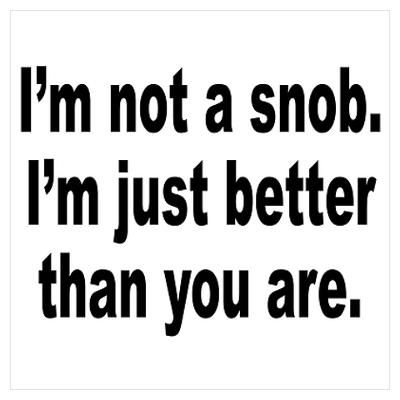 CafePress > Wall Art > Posters > No Snob Better Person Humor Poster Snobby Aesthetic, Snob Quotes, Slytherin Quotes, Wall Art Posters, Quotes By Authors, Better Person, Quotes That Describe Me, Describe Me, Story Inspiration