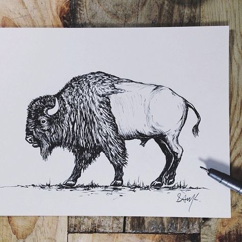 Train Tattoos, Bison Tattoo, Sam Larson, Buffalo Tattoo, Buffalo Animal, Bison Art, Stone Wall Art, Western Paintings, Black And White Art Drawing