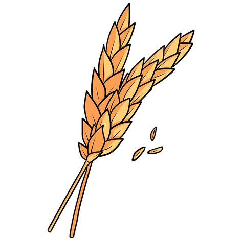 Plant Drawing Easy, Food Drawing Easy, Wheat Drawing, Wheat Plant, Simple Flower Drawing, Drawing Legs, Drawing Guides, Fall Arts And Crafts, Flower Drawing Tutorials