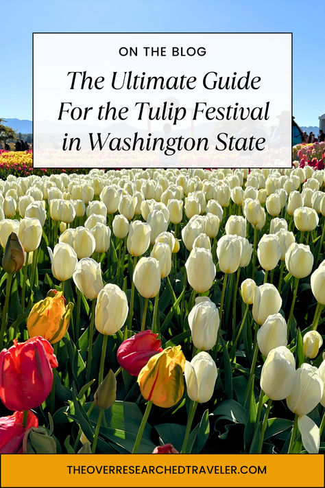 Planning a trip to the breathtaking Tulip Festival in Washington State? This ultimate guide covers everything from the best spots to travel tips and local highlights! Perfect for flower lovers and spring travelers alike. Check out how to maximize your time at the tulip festival in Washington!  #TulipFestival #SpringTravel #WashingtonState #hiddengemlocations Tulip Festival, Spring Trip, Us Destinations, Travel Pins, Planning A Trip, Short Trip, Dream Destinations, Amazing Destinations, Washington State