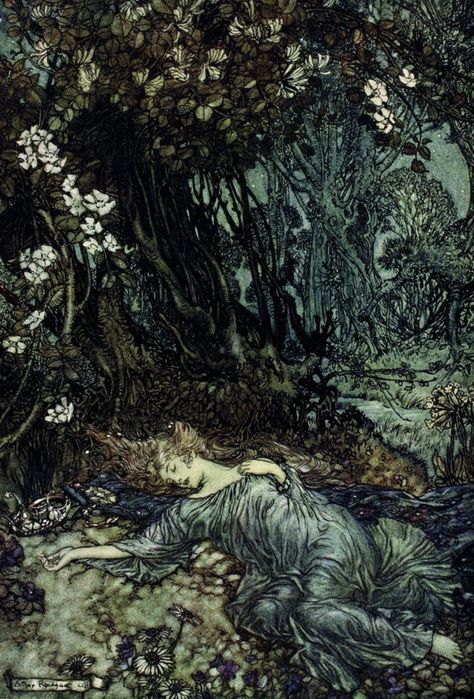 Arthur Rackham, A Midsummer Night’s Dream, 1908 Fae Wild, Arthur Rackham Illustrations, Midsummer Night's Dream Characters, Princess Painting, A Midsummer Night's Dream, Historical Illustration, Dark Fairytale, Dream Theater, Arthur Rackham