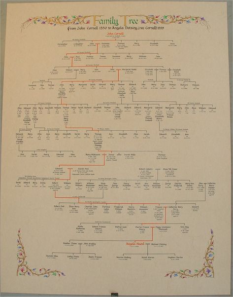 Family Tree Symbols, Family Tree Examples, Family Tree Activity, Blank Family Tree Template, Genealogy Art, Genealogy Tree, Create A Family Tree, Blank Family Tree, Family Tree Painting