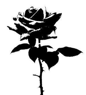 White Widgets, Easy Tattoos, Book Drawings, Stencil Street Art, Graffiti Flowers, Stencil Graffiti, Rose Stencil, Cool Stencils, Art Stencils