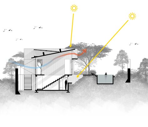 Board-marked concrete walls frame pool views from AT House Sustainable Architecture House, Passive House Design, Passive Solar Design, Concrete Houses, Passive Design, Conceptual Architecture, Solar Design, Architectural Section, Concrete House