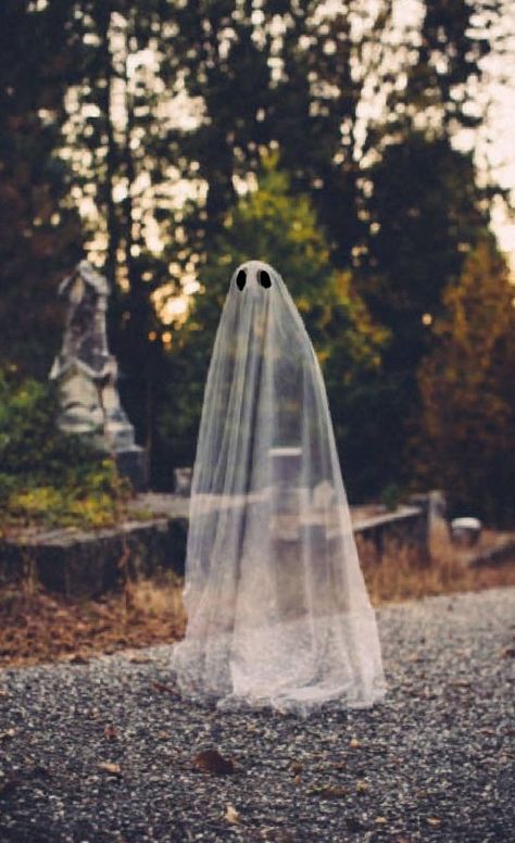 Ghost Shoot, Halloween Shot Ideas, Fotos Halloween, Sheet Ghosts, Spooky Shoot, Autumn Ghost, Ghost Photoshoot, Movement Photography, Ghost Photography